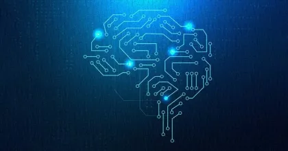 llms or slms AI Model