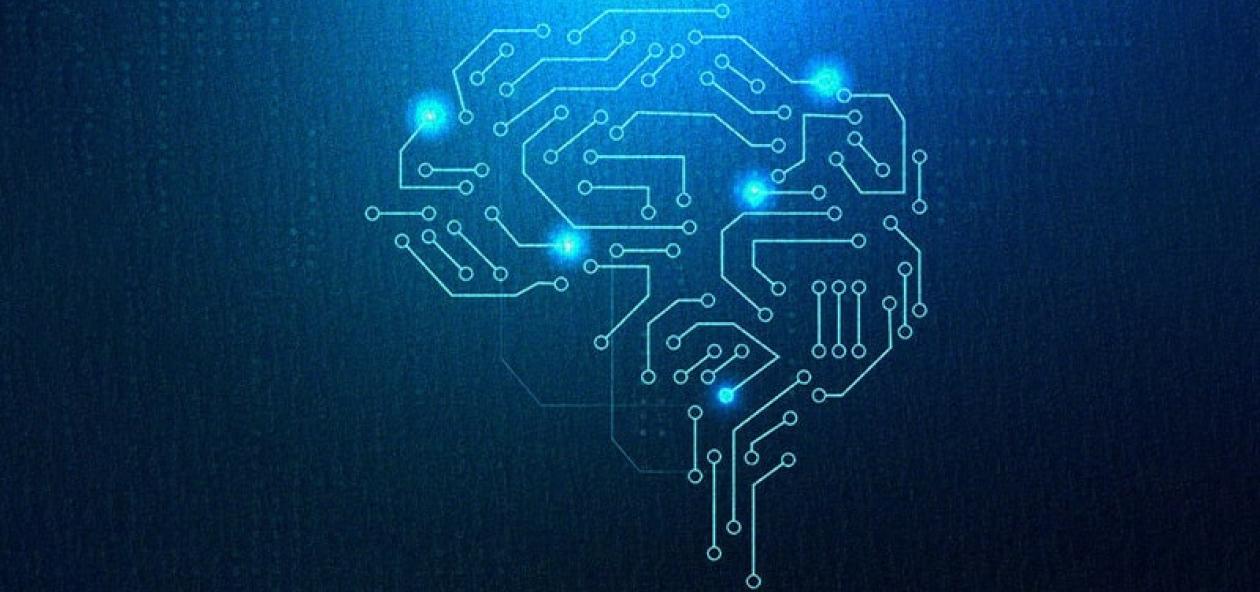 llms or slms AI Model